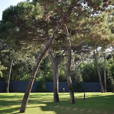 Appartement Parkofir *