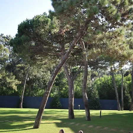 Apartment Parkofir